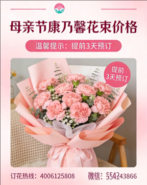 深圳龙岗南湾花店母亲节康乃馨花束