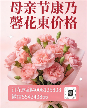 深圳龙岗南湾花店母亲节康乃馨花束